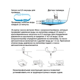 Насос осушит низкопроф автомат 800GPH 14B Series 12В датчик времени (SFBP1-G800-14B)