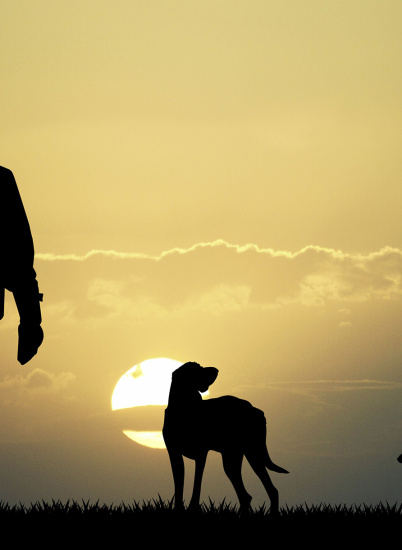 Набор патронов Сигнал охотника