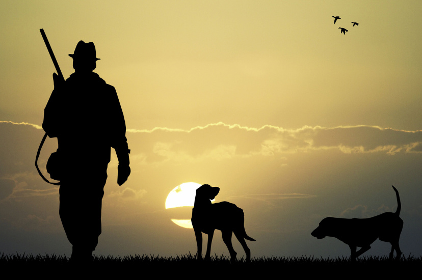 Набор патронов Сигнал охотника