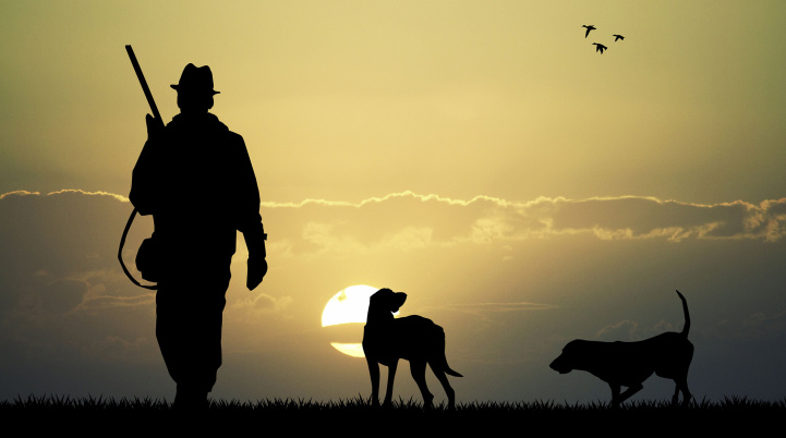 Набор патронов Сигнал охотника