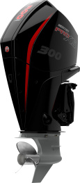p300_1
