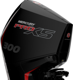 p300_4